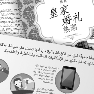 Multilingual Translation Projects